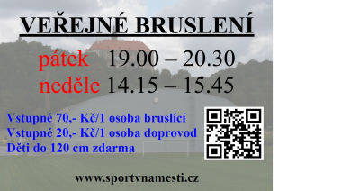 Veřejné bruslení